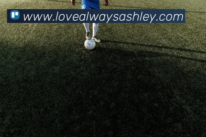 App 示例图